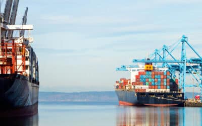 Student success: Andreas Sofokleous