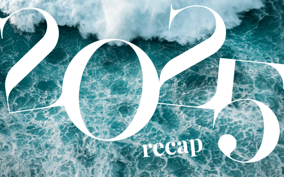 2025 year in review